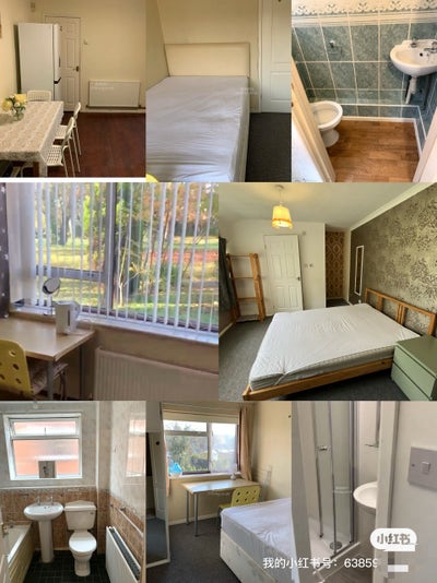 Rooms in Cannon Park available for summer term sho Main Photo