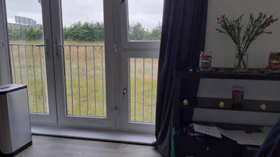 Flatshare in South Queensferry Main Photo
