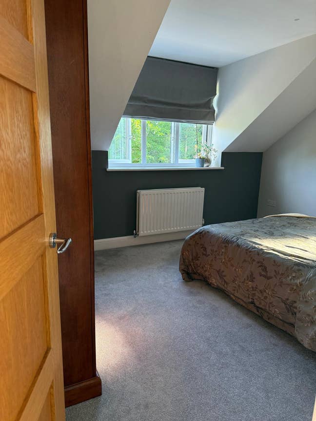 Large Double Room to Let in Blackheath – Clean, Qu Main Photo