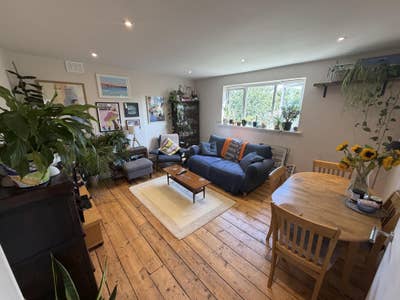6mo. rental (starting mid-Sep) in chill flat share Main Photo