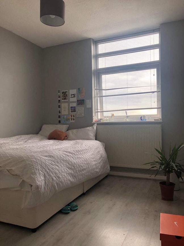 🌻Large Double  Bedroom/ No Couple🌻 End of July Main Photo