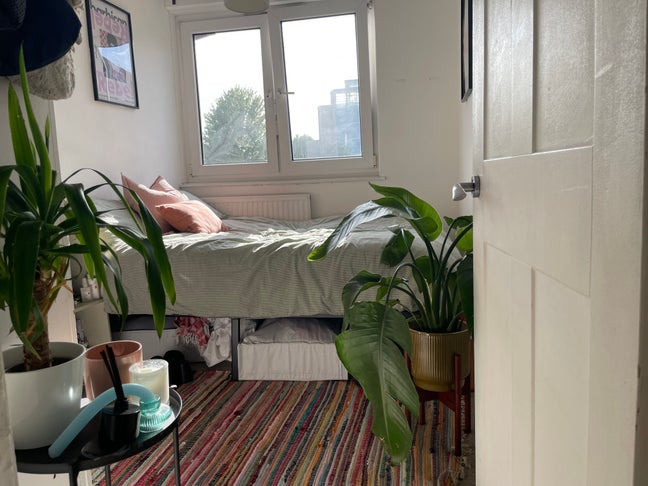 Cozy room in Peckham, great location & huge patio Main Photo
