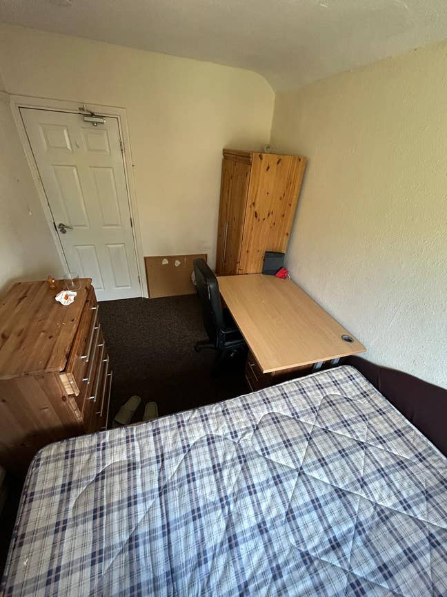 Immediately looking for the new flatmate Main Photo