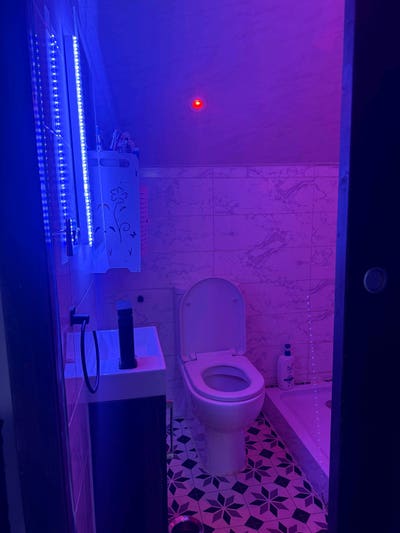 5 Bed, 2 Bathroom, S7 Nether Edge, Newly renovated Main Photo