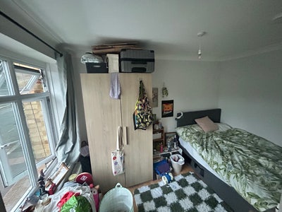 Room available in friendly house with garden!  Main Photo