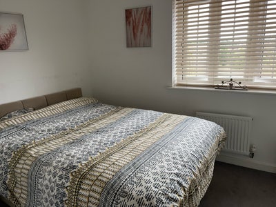 Room rental Main Photo