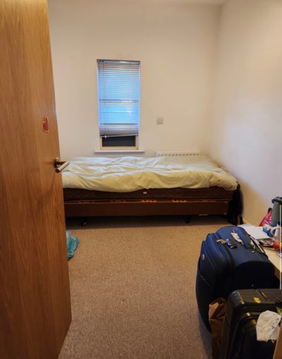 Girls only apartment single room available  Main Photo