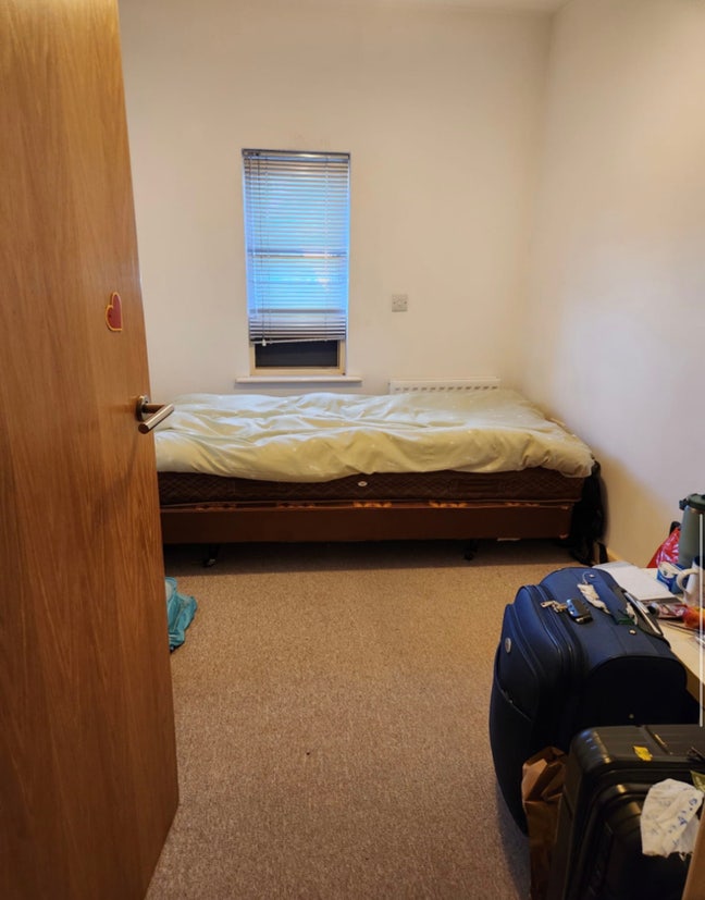 Girls only apartment single room available  Main Photo