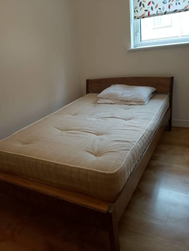 Comfy private room for rent Main Photo