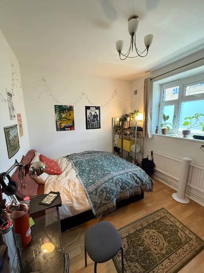 Open Room in Brixton! LGBTQ+ friendly  Main Photo