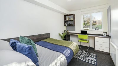 Lovely spacious en-suite room near uni Main Photo