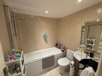 New flatmate  Main Photo