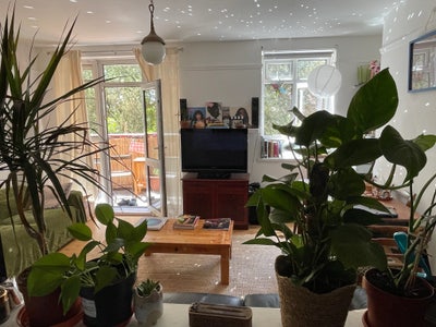 Join our friendly flat surrounded by nature! Main Photo