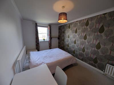 1 double rooms near Edi Uni, KB,  on 24 bus route Main Photo