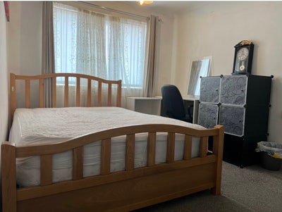 Room Everything Include  Main Photo