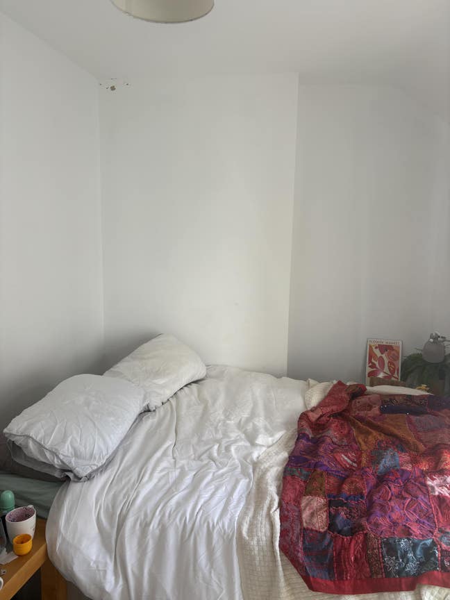Room in a friendly, shared household Main Photo