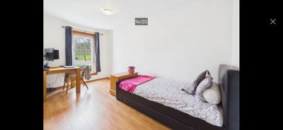 Lovely Bright Single Room Main Photo