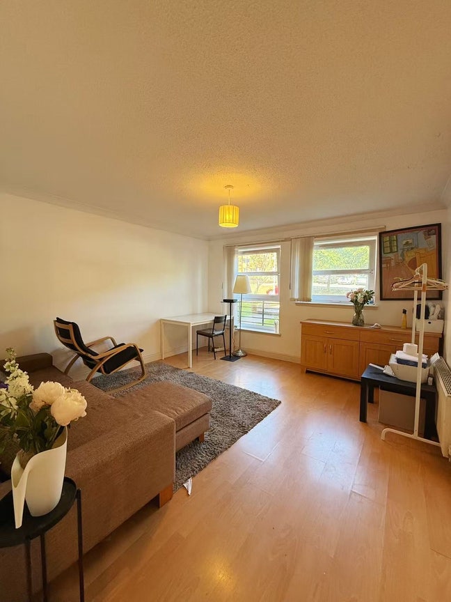 Looking for a friendly roommate|Bright G3 flat Main Photo
