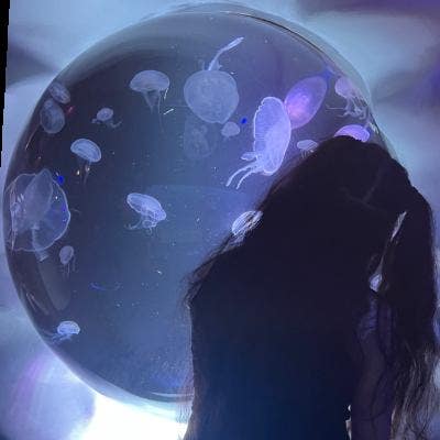 20 year old Female seeks a double room Main Photo