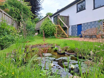 Sunny, Double Room, Totnes  Main Photo