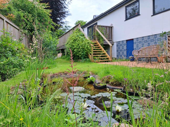 Sunny, Double Room, Totnes  Main Photo