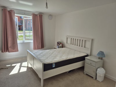Semi furnished room in cosy flat Stoke Gifford Main Photo