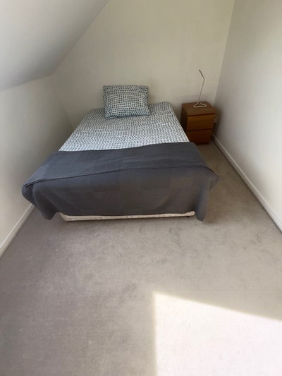CLEAN FLAT  Main Photo