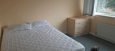 Double room in house share  Main Photo