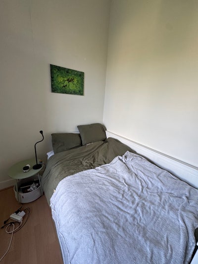 Beautiful Double Bedroom in Tollcross Fringe only Main Photo