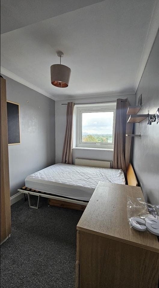 Spacious Furnished Double Room - Tulse Hill   Main Photo