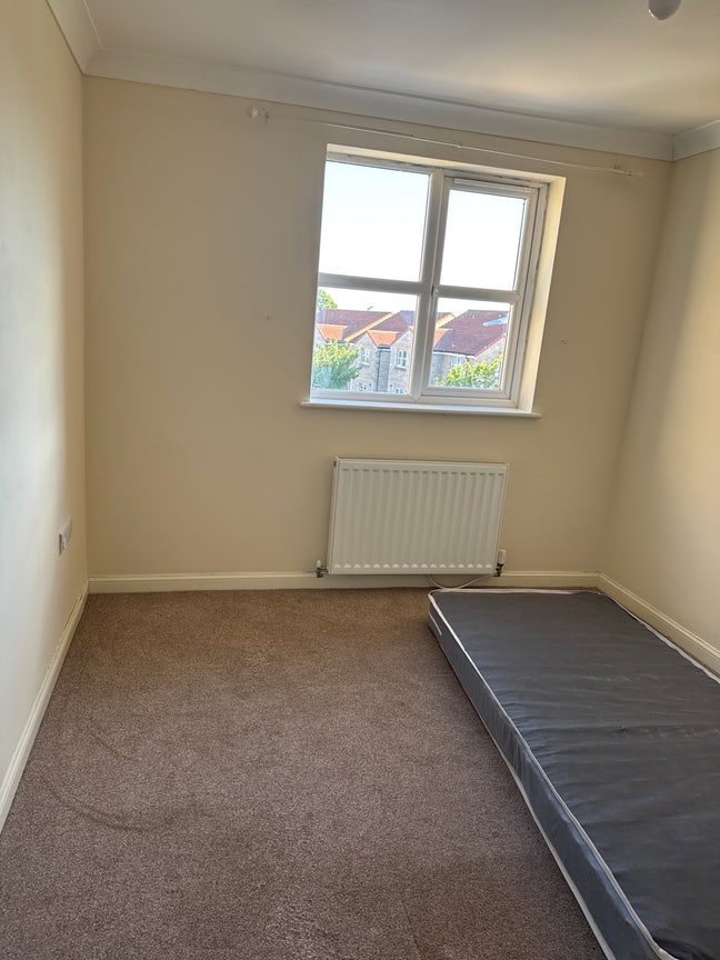 Shared Apartment  Main Photo
