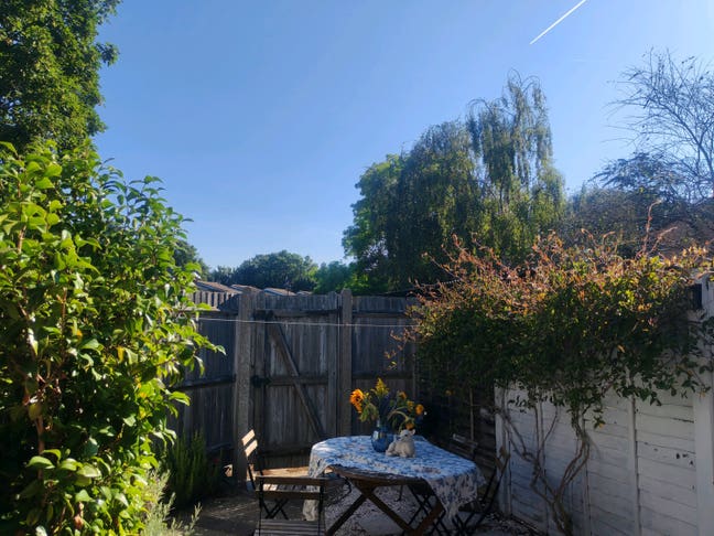 Pet-friendly room in bungalow with garden Main Photo