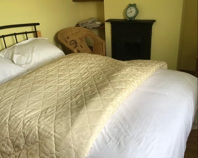 Double room with own bathroom near Cowbridge  Main Photo