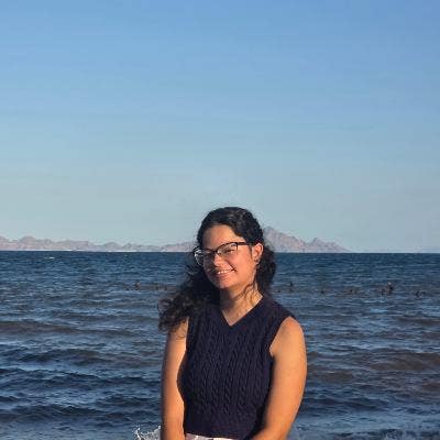 U of Glasgow MSc student looking for a single room Main Photo