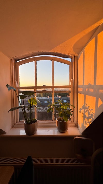 Short let only!! Summer sublet in London  Main Photo