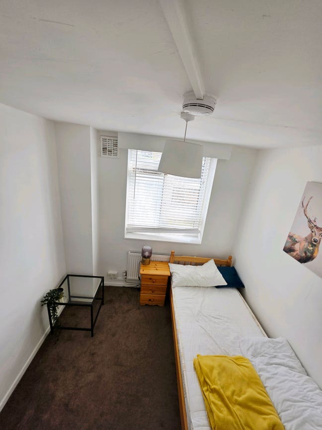 Amazing room available rightaway  Main Photo