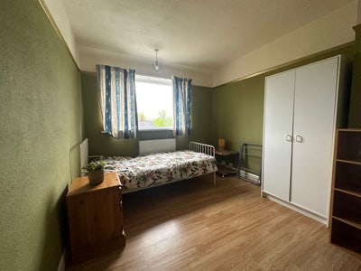 💥💥 Room available💥💥 Main Photo