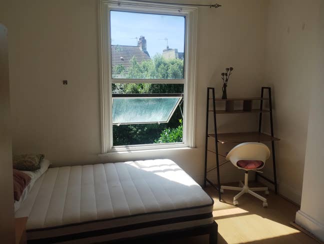 🏡 garden view room in Leytonstone veggie house 🌼 Main Photo