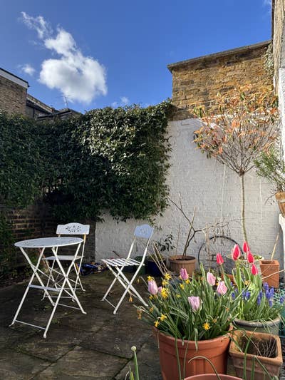 Double Room in Ground Floor Flat in Queens Park Main Photo