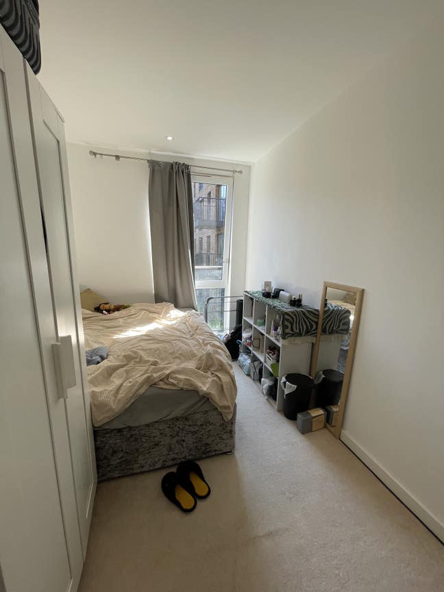 Looking for a flatmate! - bright single room  Main Photo