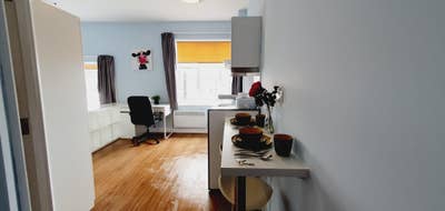 Majestic Studio- Suitable for Couple ST4 4AB Main Photo
