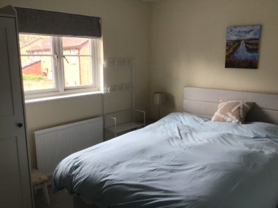 Welcoming peaceful newly decorated terrace house Main Photo