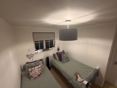 Double room and single room available  Main Photo