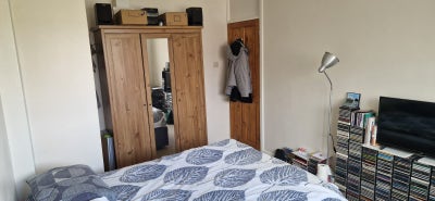 House share professional- Thatcham Main Photo