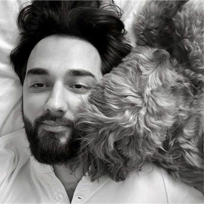 Buddy Up / Room wanted. Dog friendly.  Main Photo