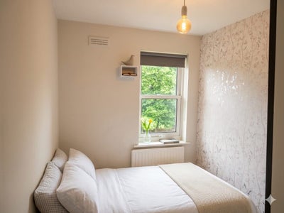 Single room for rent Main Photo