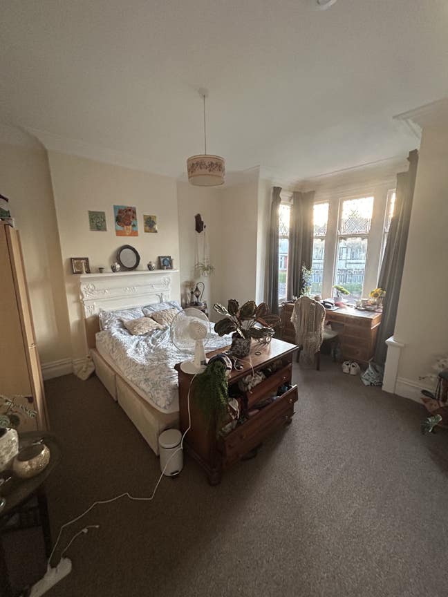 Large double room available near Roath Park🌳🌷 Main Photo
