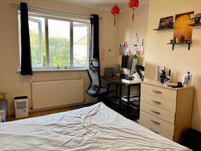 🌿 Sunny Double, with Separate Home Office Main Photo