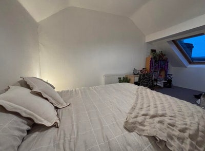 Lovely Modern Student House - 2 off Suite Rooms  Main Photo
