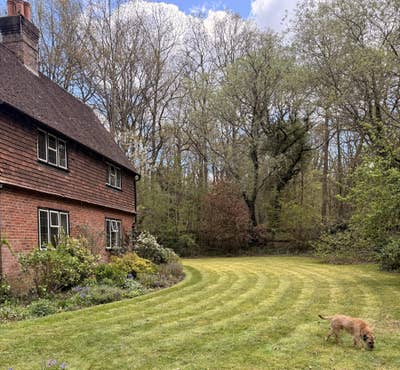 Double Room to Rent in Milford, Surrey Main Photo